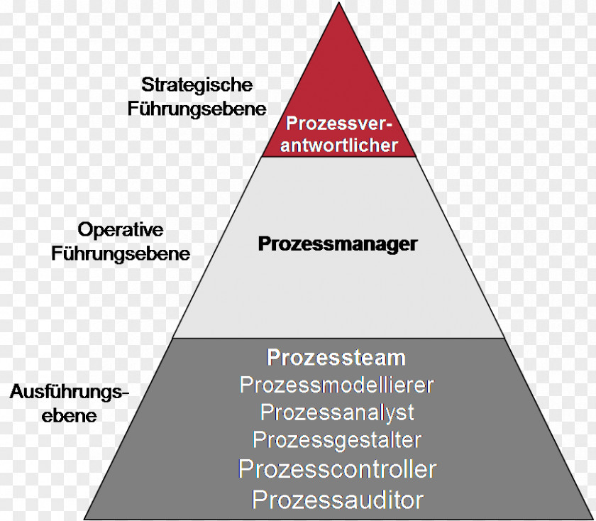 Business Process Management Prozesseigner Organization PNG