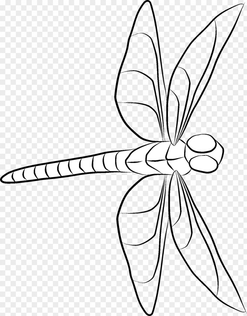 Dragon Fly Line Art Drawing Painting PNG