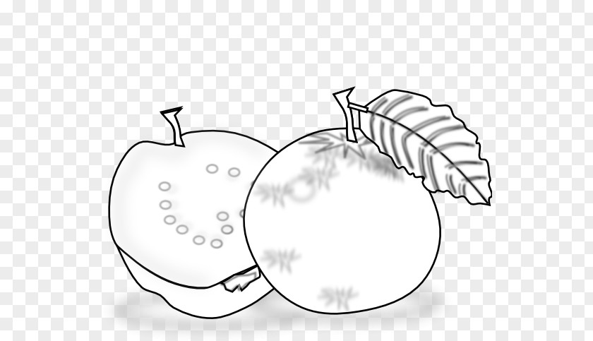 Guava Cliparts Black And White Clip Art PNG