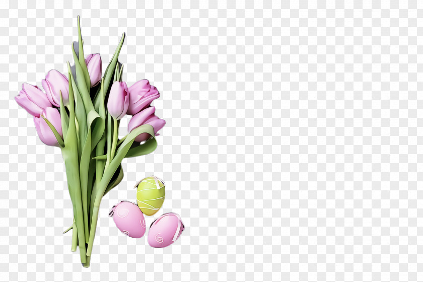Lily Family Chives Flower Plant Cut Flowers Tulip Petal PNG