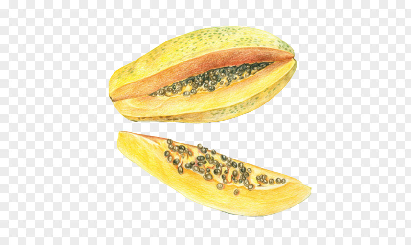 Papaya Color Paintings Material Picture Fruit Yellow PNG