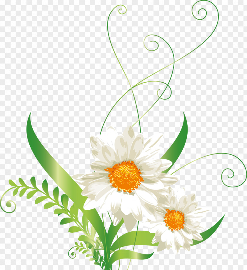 Daisies Raster Graphics Clip Art PNG