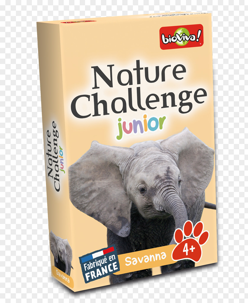 Dog Nature BioViva Game Sea PNG