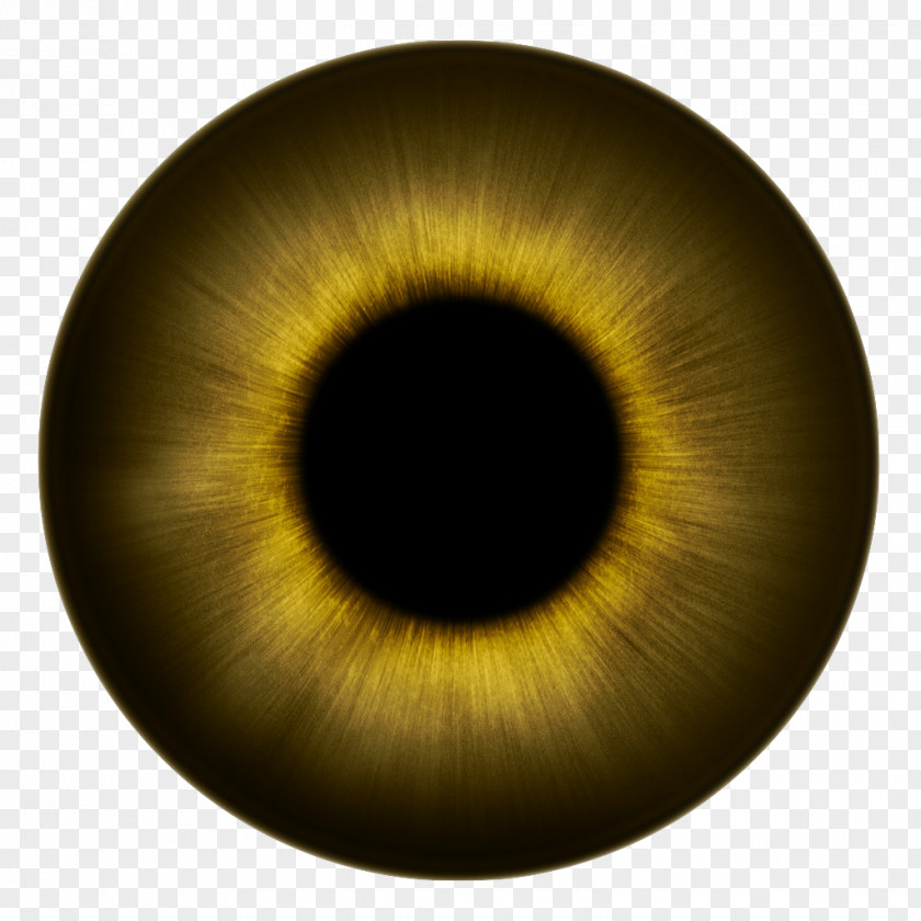 Eyes Human Eye Iris Texture Color PNG