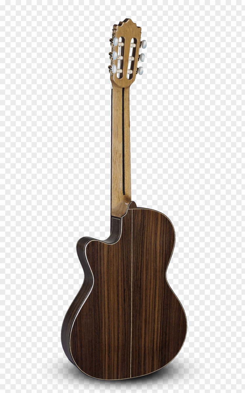 Guitar Acoustic-electric Classical Steel-string Acoustic PNG