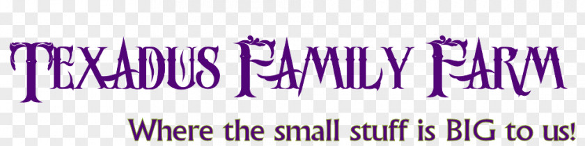 Kids Farm Logo Brand Line Font PNG
