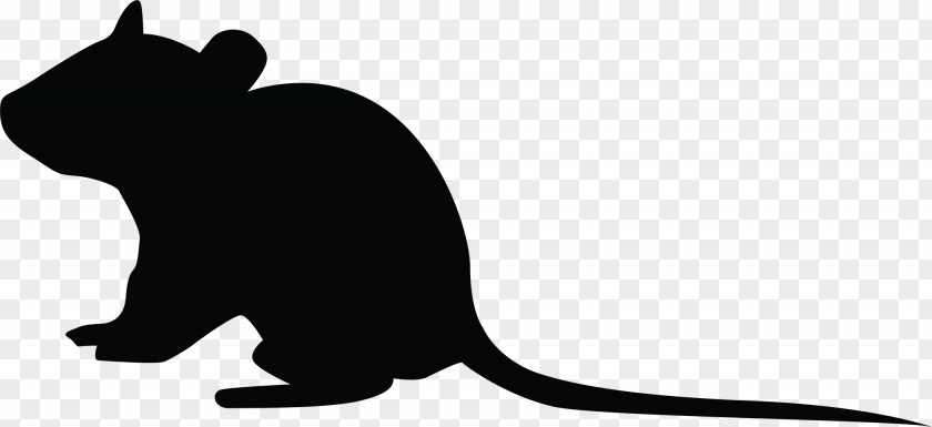 Large-screen Whiskers Rat Goods Rodent Gift PNG