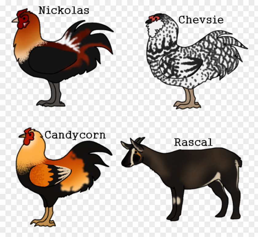 Ardagh Hoard Rooster Fauna Beak Chicken As Food PNG