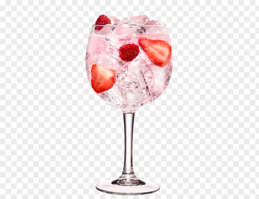 Cocktail Night Pink Gin And Tonic Water PNG