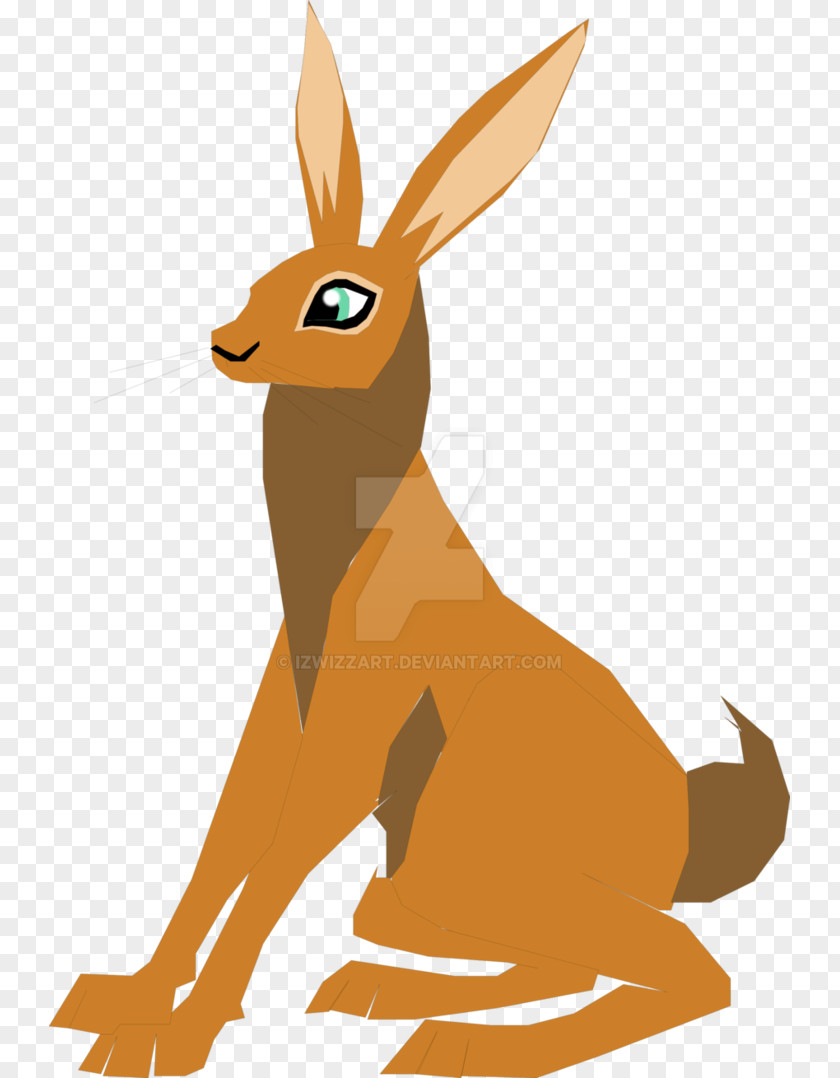 Kangaroo Macropodidae Hare Red Fox Deer PNG
