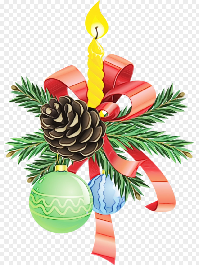 Palm Tree Ornament Christmas Watercolor PNG