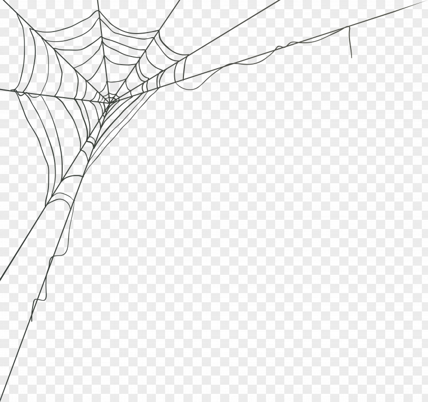 Spider Web Vector Graphics Image PNG