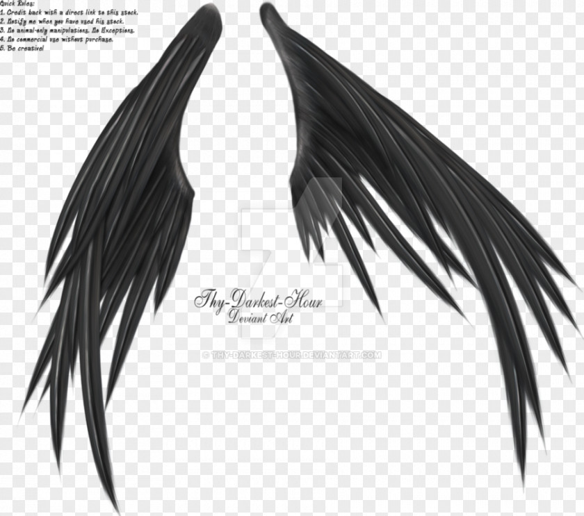 Angel Wing PNG