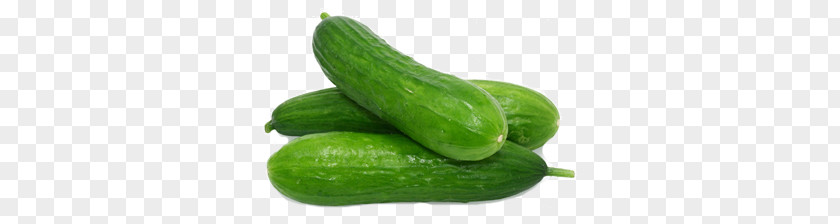 Cucumber PNG clipart PNG