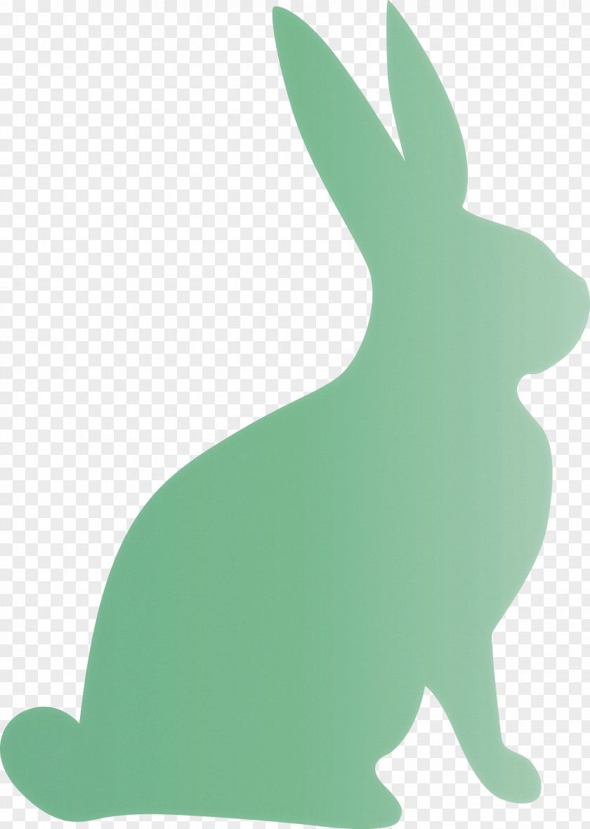 Easter Bunny Day Rabbit PNG