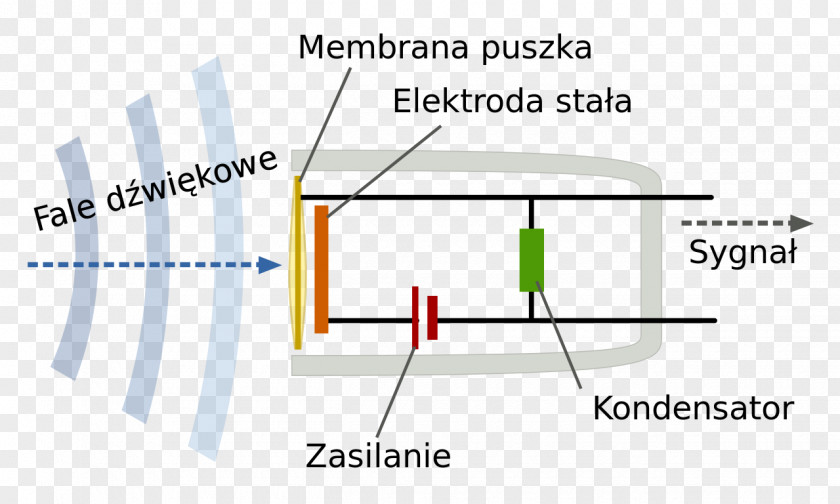 Microphone Diaphragm Sound Condensatormicrofoon Wikimedia Commons PNG