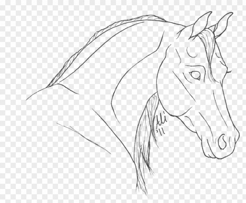 Mustang Mane Coloring Book Pony Drawing PNG