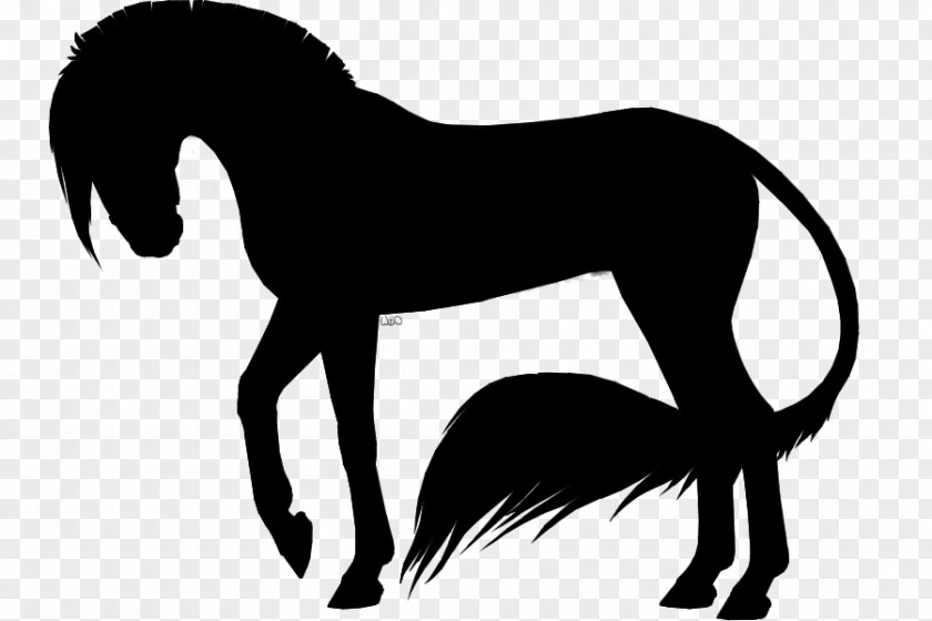 Mustang Pony Stallion Rein Pack Animal PNG