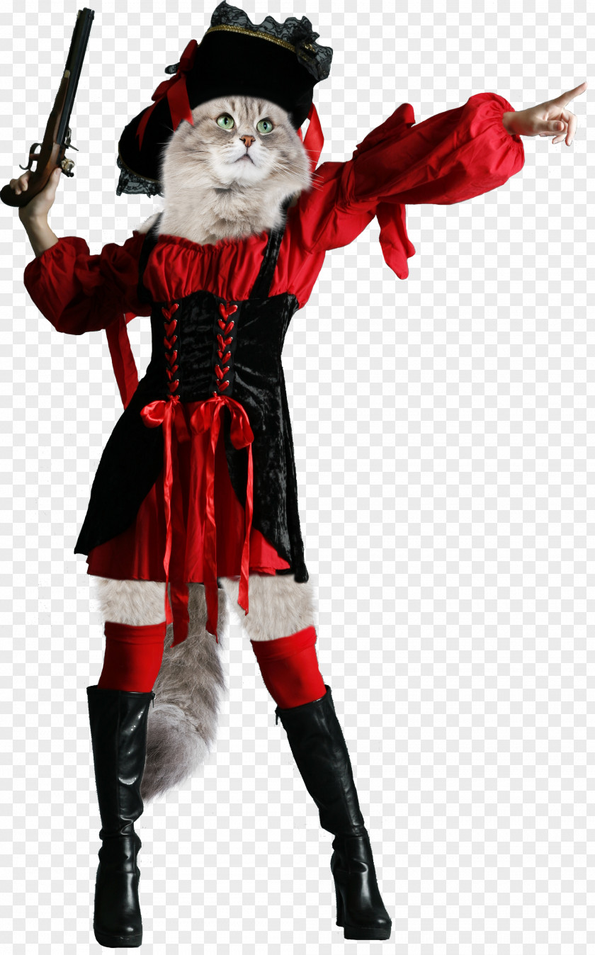 Pirate Santa Claus Christmas Ornament Costume Character PNG