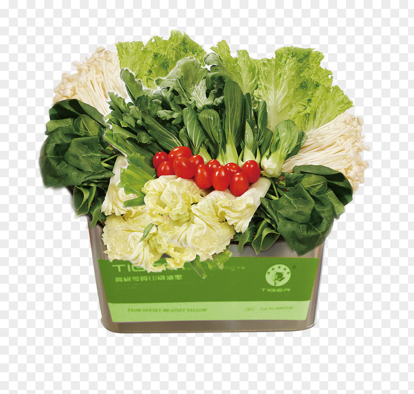 Vegetables On The Scale Vegetable Fruit U7dd1u9ec4u8272u91ceu83dc Brassica Oleracea Food PNG