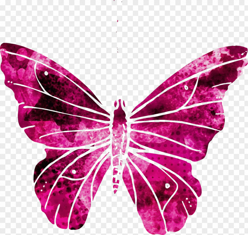 Petal Symmetry Watercolor Butterfly Background PNG