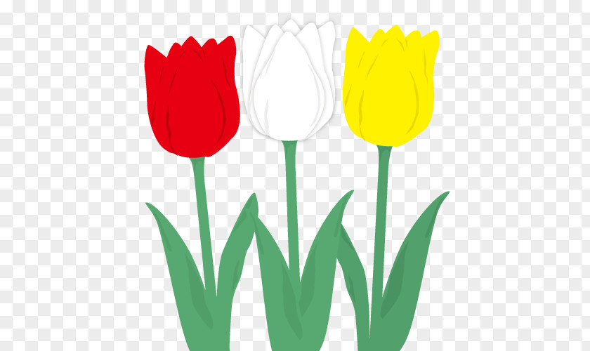 Tulip Desktop Wallpaper Computer Clip Art PNG