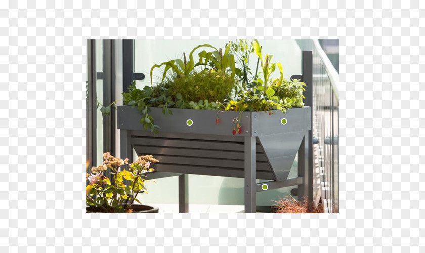 Vegetable Raised-bed Gardening Herb PNG