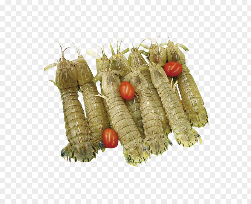 Bamboo Shrimp Grits Icon PNG