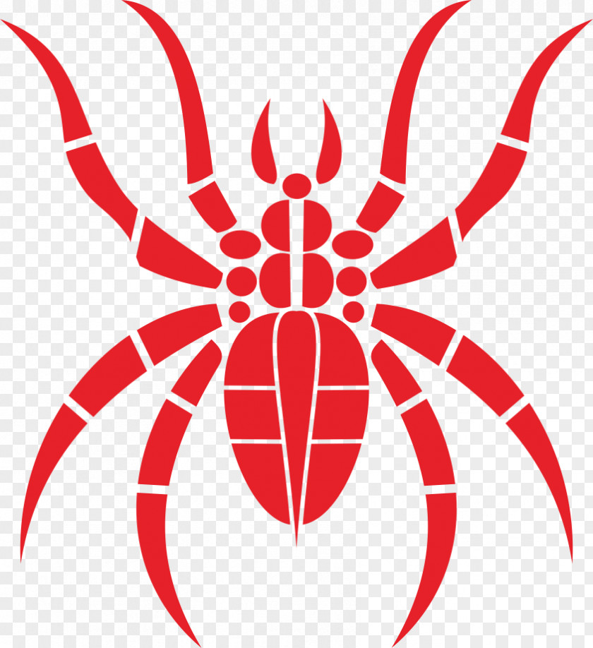 Big Spider Web Tribe Tattoo Drawing PNG