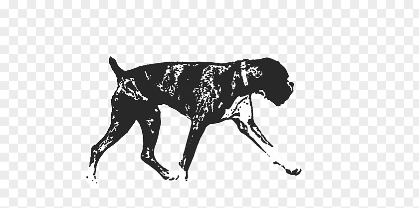 Boxer Dog Great Dane Breed Sporting Group Military Army PNG
