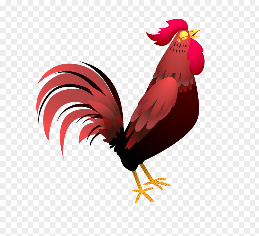 Cartoon Chicken Crow Rooster Drawing PNG