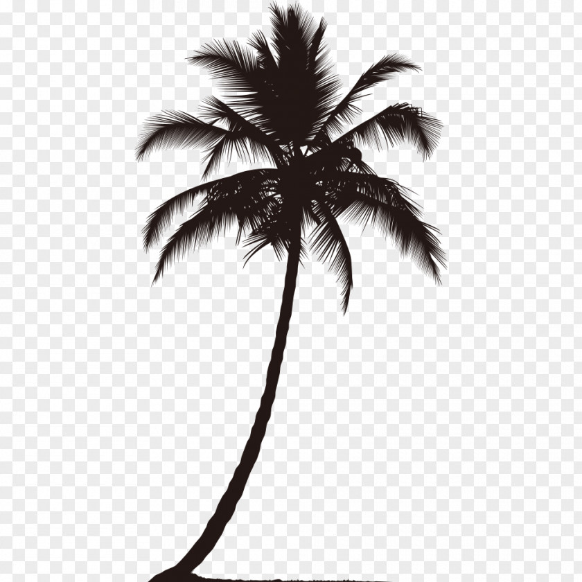 Coconut Trees Silhouette PNG trees silhouette clipart PNG