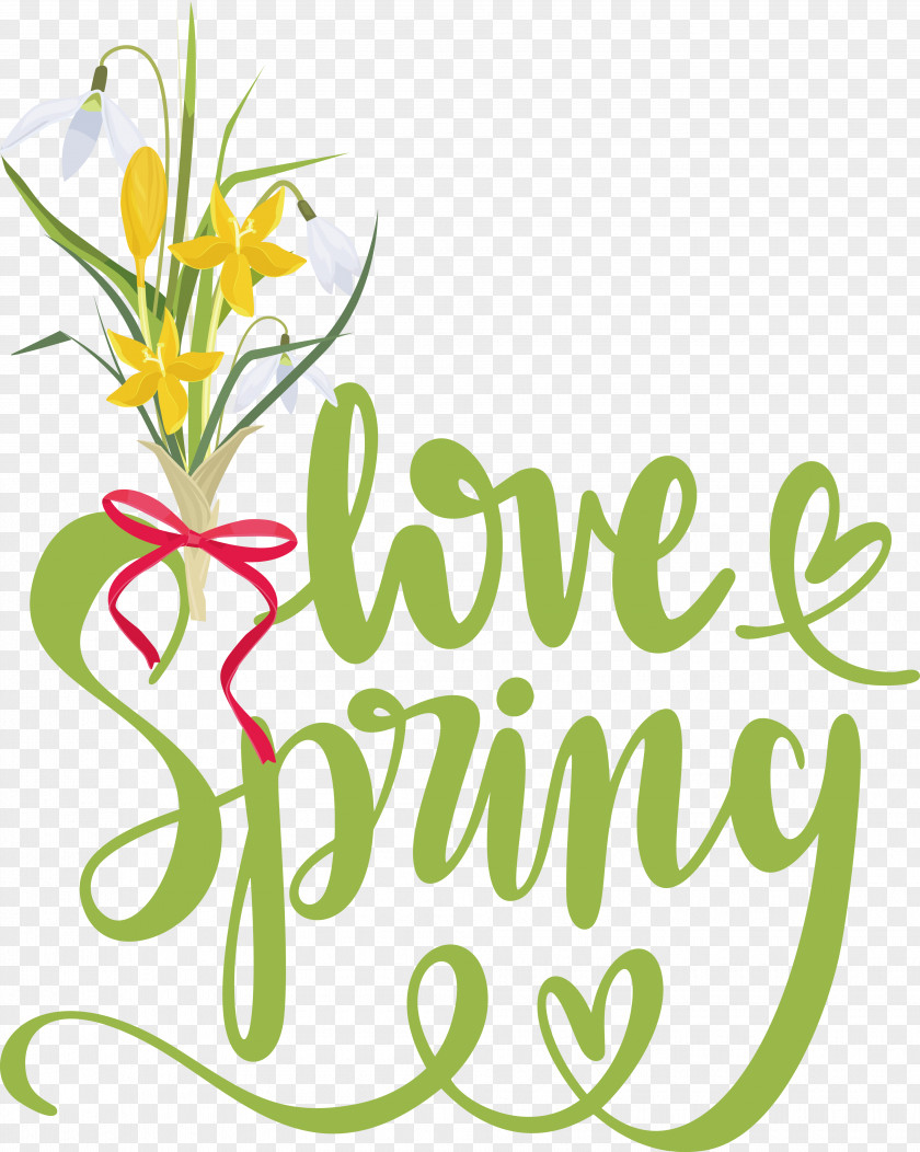 Floral Design PNG