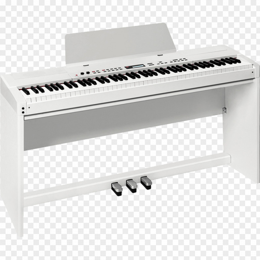 Keyboard Piano Digital Musical Roland Corporation PNG