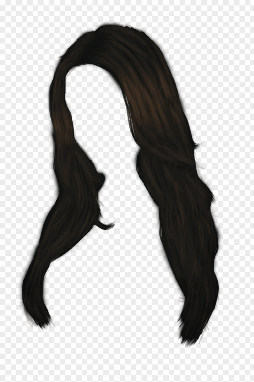 Long Black Women Hair PNG Hair, black wig clipart PNG