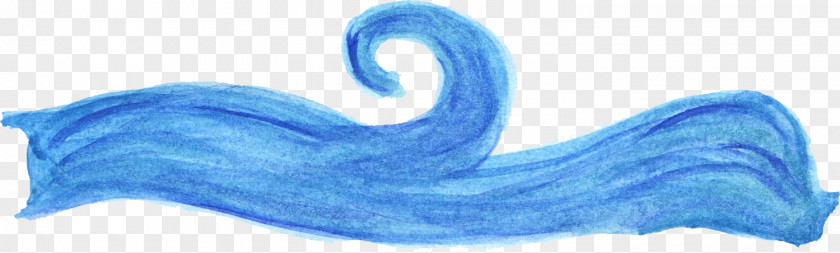 Wave Marine Mammal Wind PNG