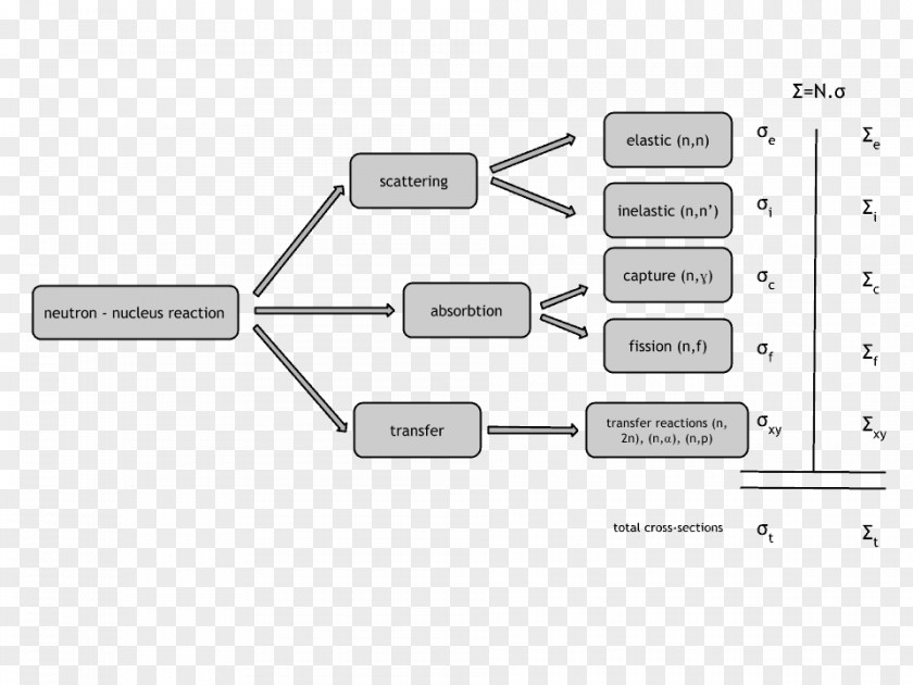 Barn Neutron Cross Section Capture Nuclear Physics PNG