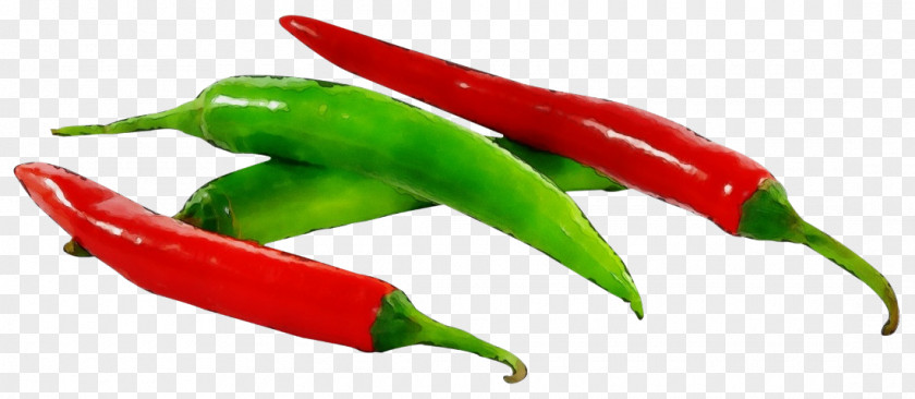 Bell Peppers And Chili Vegetable Serrano Pepper Bird's Eye Tabasco Malagueta PNG