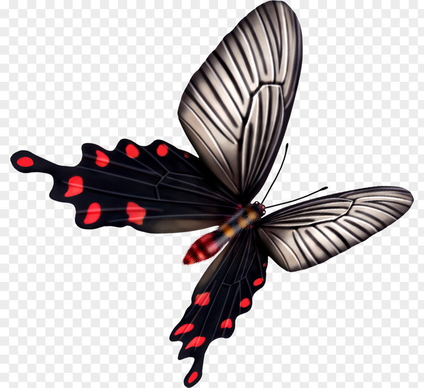 Butterfly Taobao Transparency And Translucency PNG