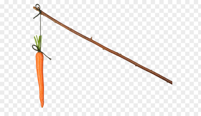 Carrot And Stick Stock Photography Royalty-free Shutterstock PNG