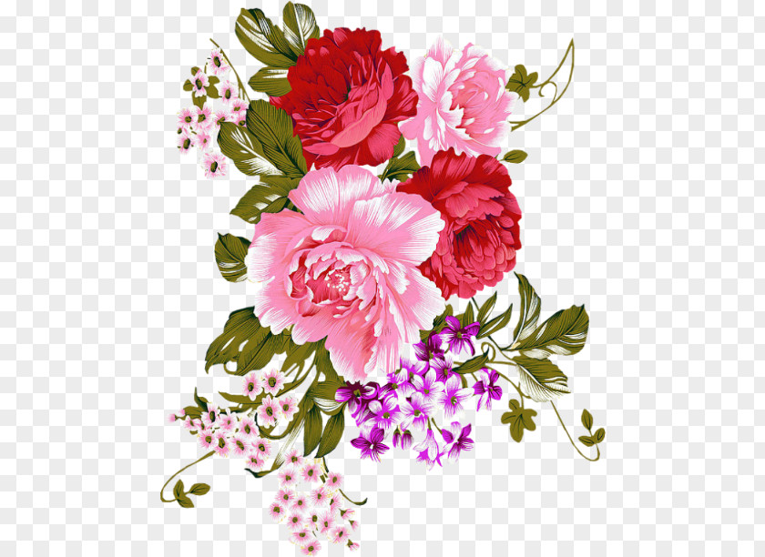 Dianthus Floristry Bouquet Of Flowers Drawing PNG