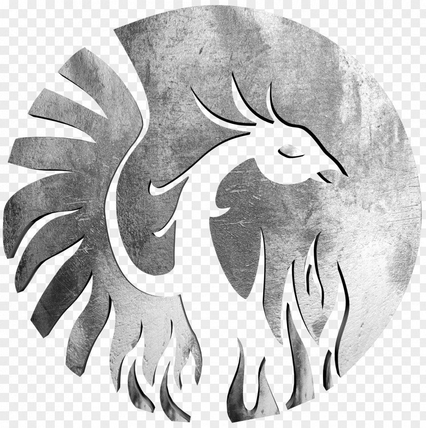 FENIX Studios Srl Drawing Logo Phoenix Pencil PNG