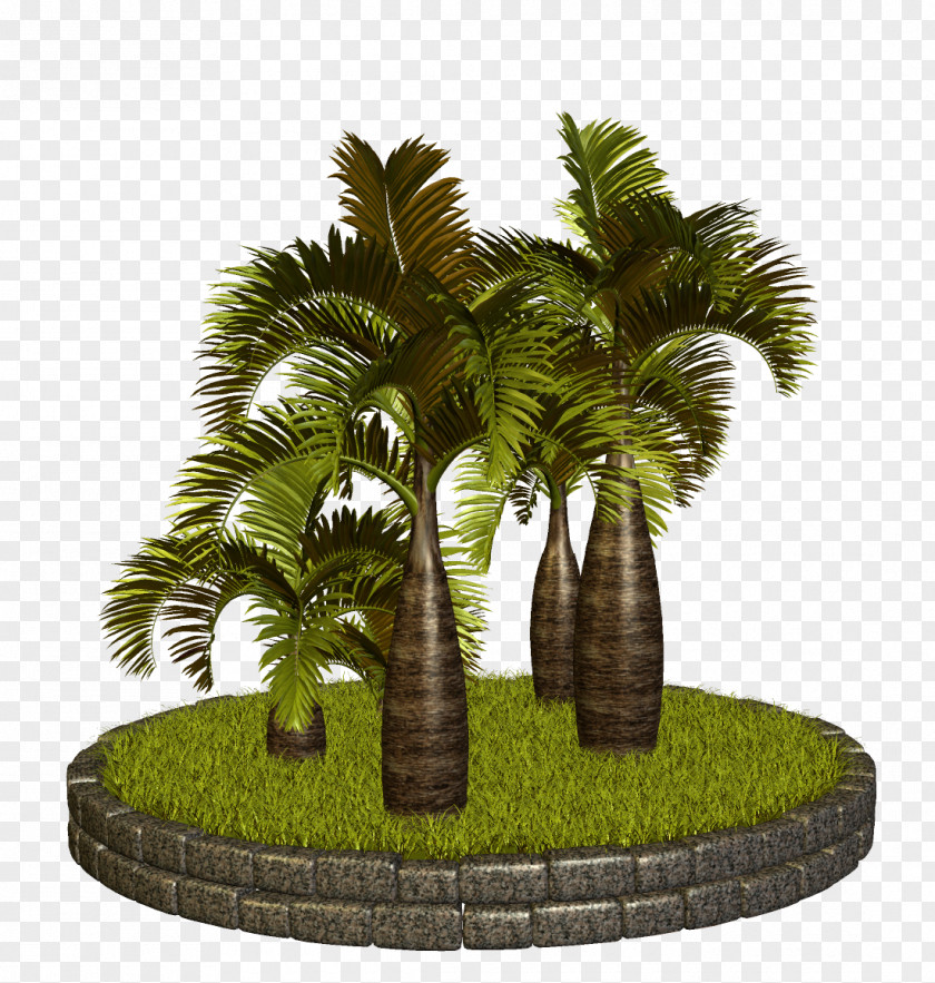 Palm Trees Date Clip Art Russia PNG