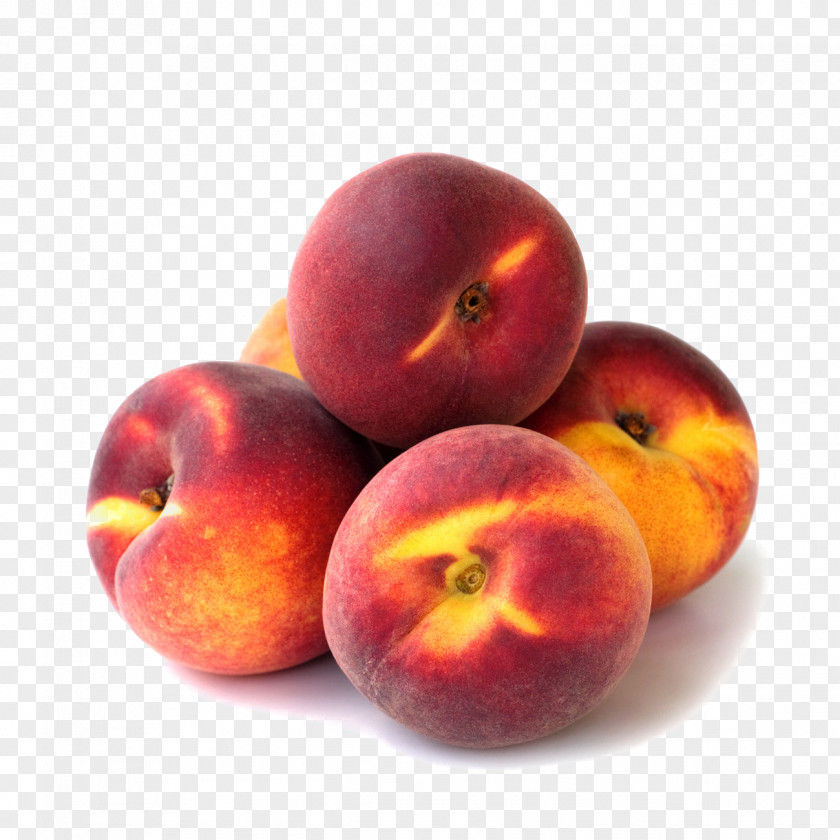 Peach Nectarine Fruit Download Icon PNG