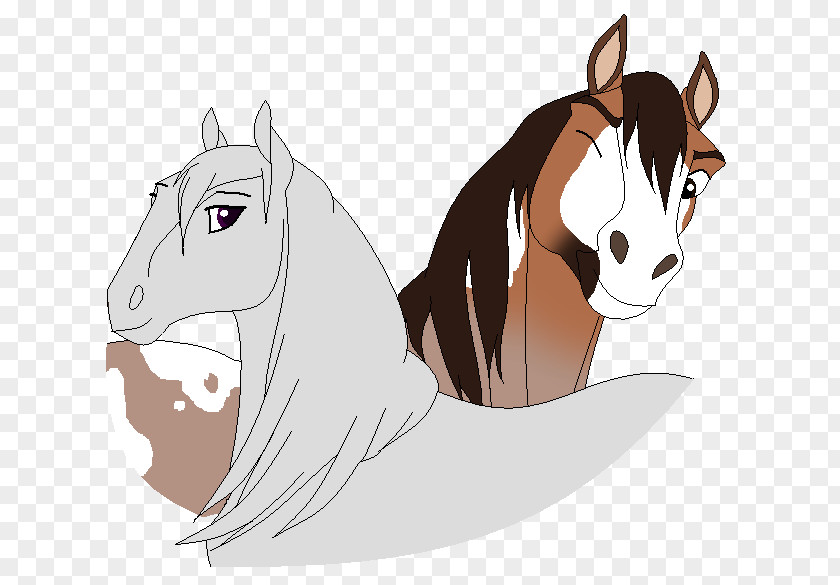 Spirit Horse Cat Mustang Pony Stallion Line Art PNG