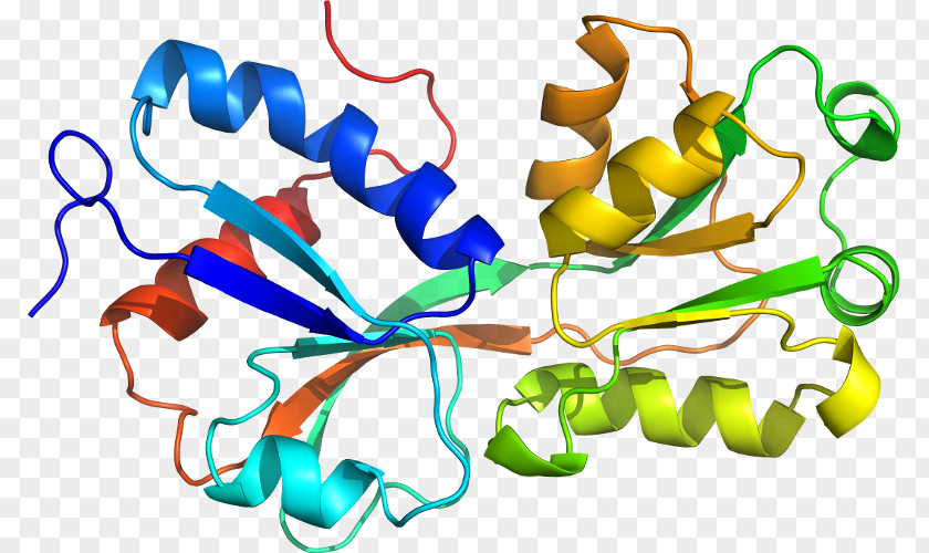 Trichlorophenol Organism Line Clip Art PNG