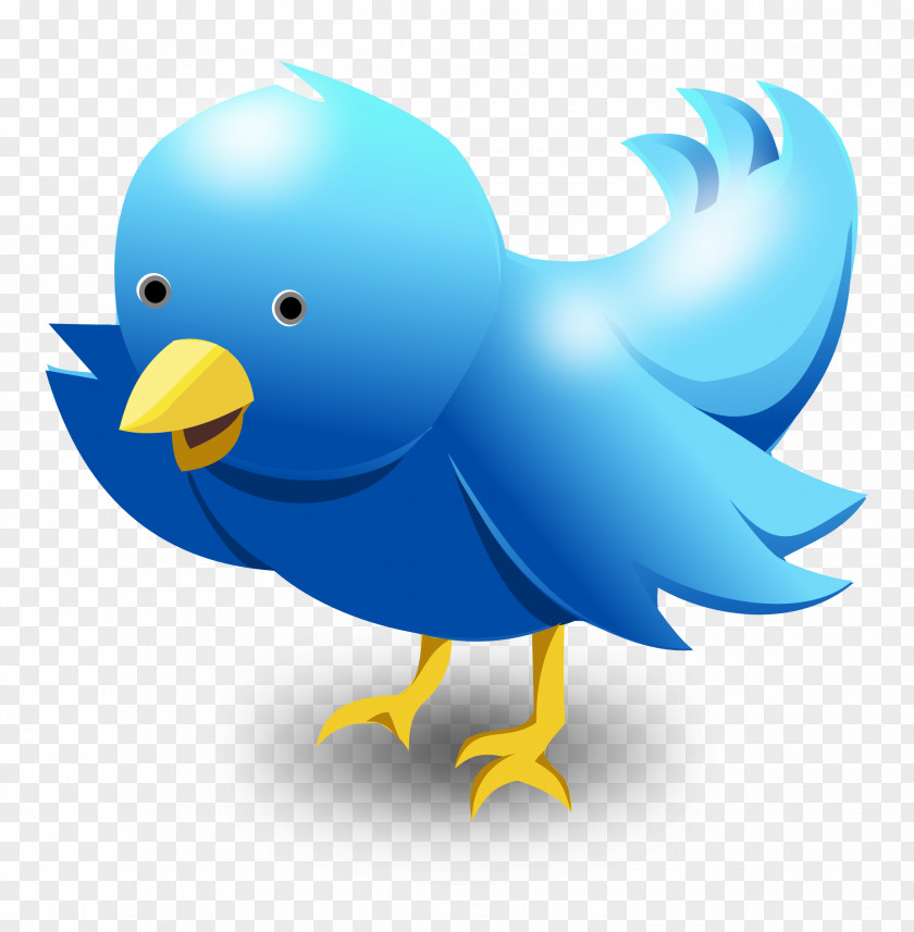 Twitter Bird Vector Logo PNG