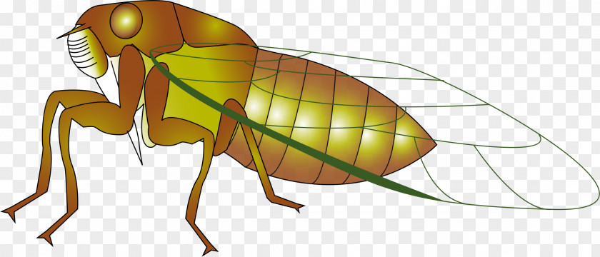 Cartoon Insects Insect Cicadas Ant Clip Art PNG