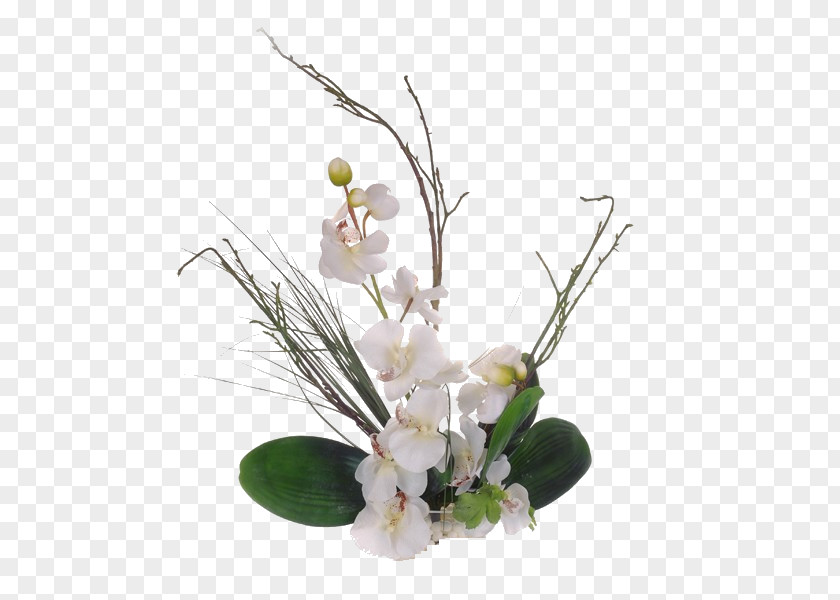 Flower Floral Design Bouquet White Cut Flowers PNG