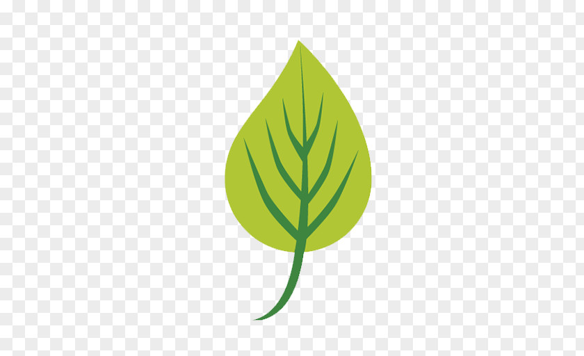 Leaf Logo Download PNG
